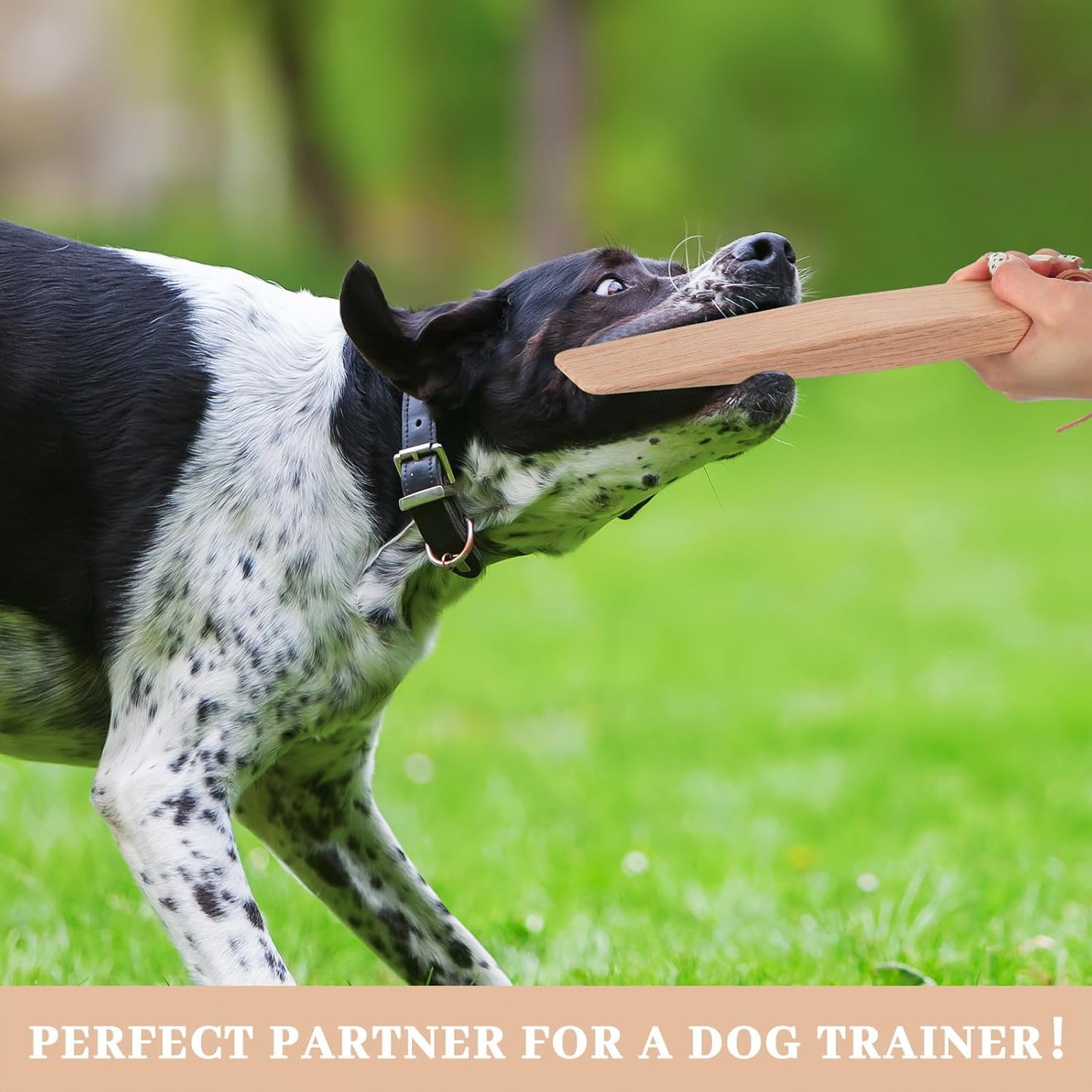 2 Pcs Break Stick Dog Fight 10.04'' x 1.77'' x 0.79'' Dog Stick Toy with Ropes for Training German Shepherd Most Dogs