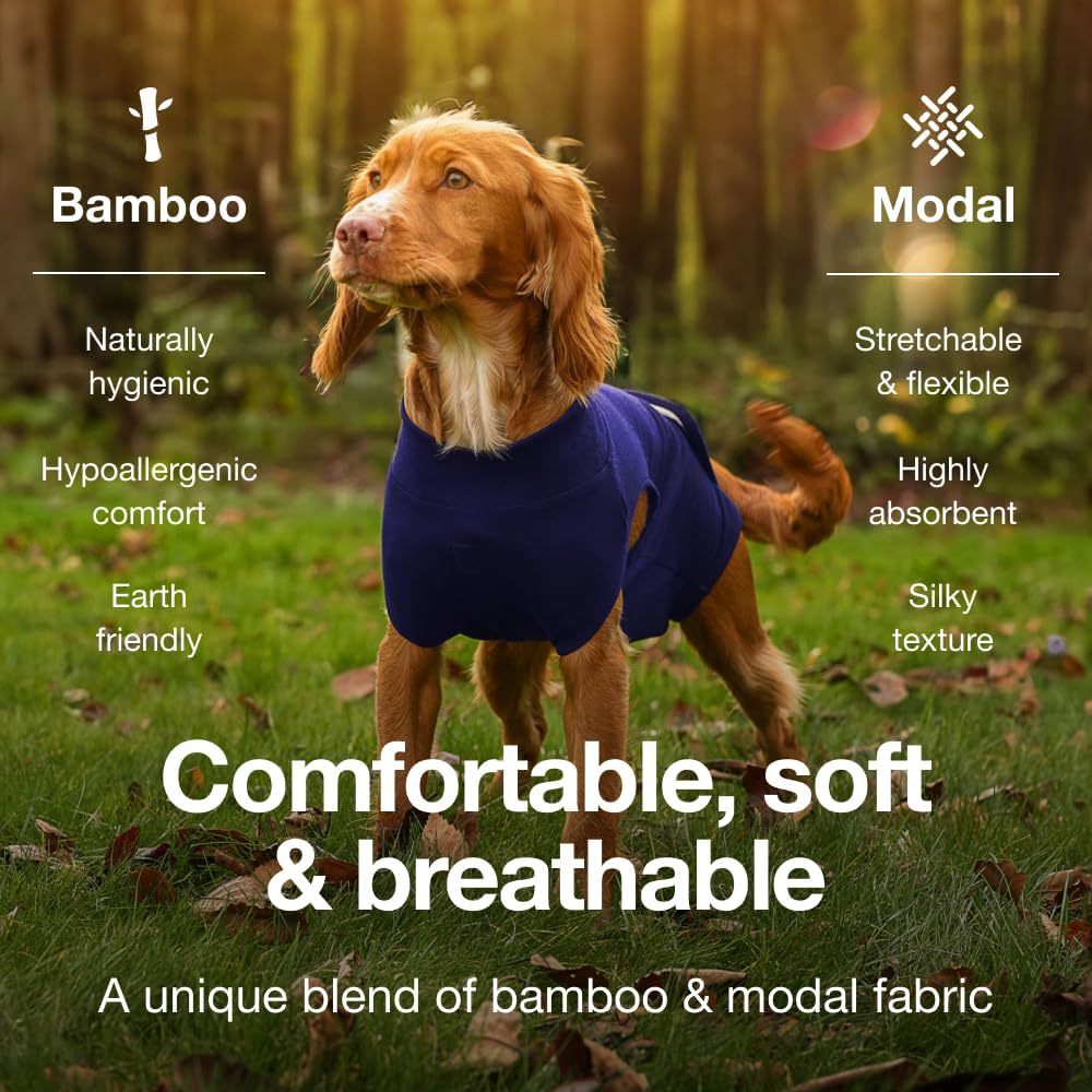 M Blue Premium Pet Physiological Suit - Comfortable & Breathable Bamboo Modal Recovery Suit