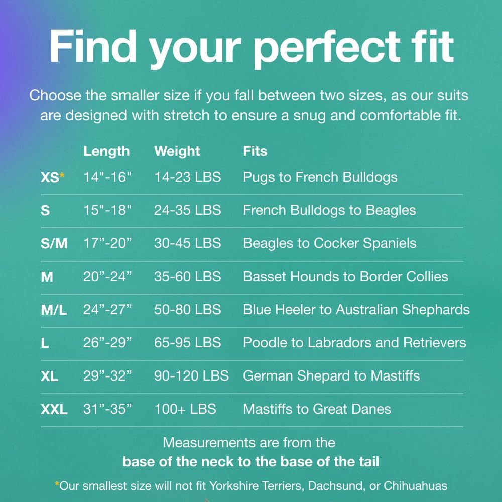 XXL Blue Premium Pet Physiological Suit - Comfortable & Breathable Bamboo Modal Recovery Suit